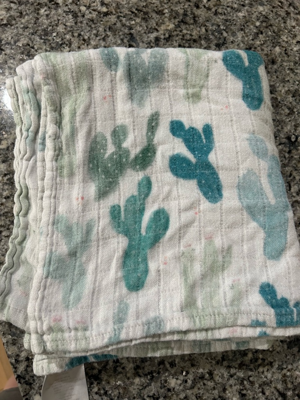 Tula Muslin Swaddle Blanket in Teal and Mint Cactus Print